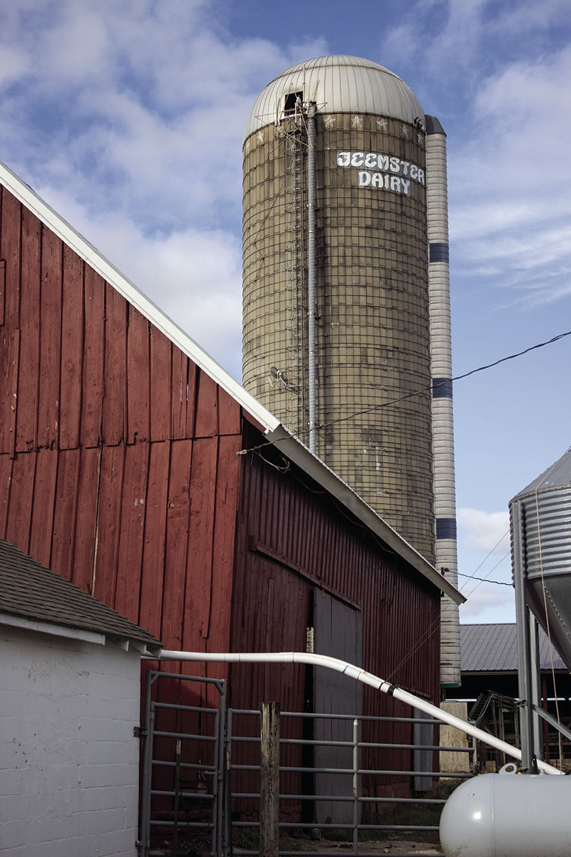 Feemster Dairy
